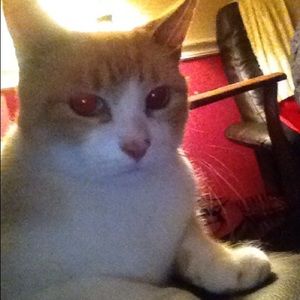 Meet your Posher, Jamie